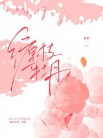 缠枝牡丹什么时候种植好