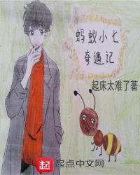 小蚂蚁的奇遇