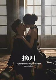 摘月亮的人免费阅读